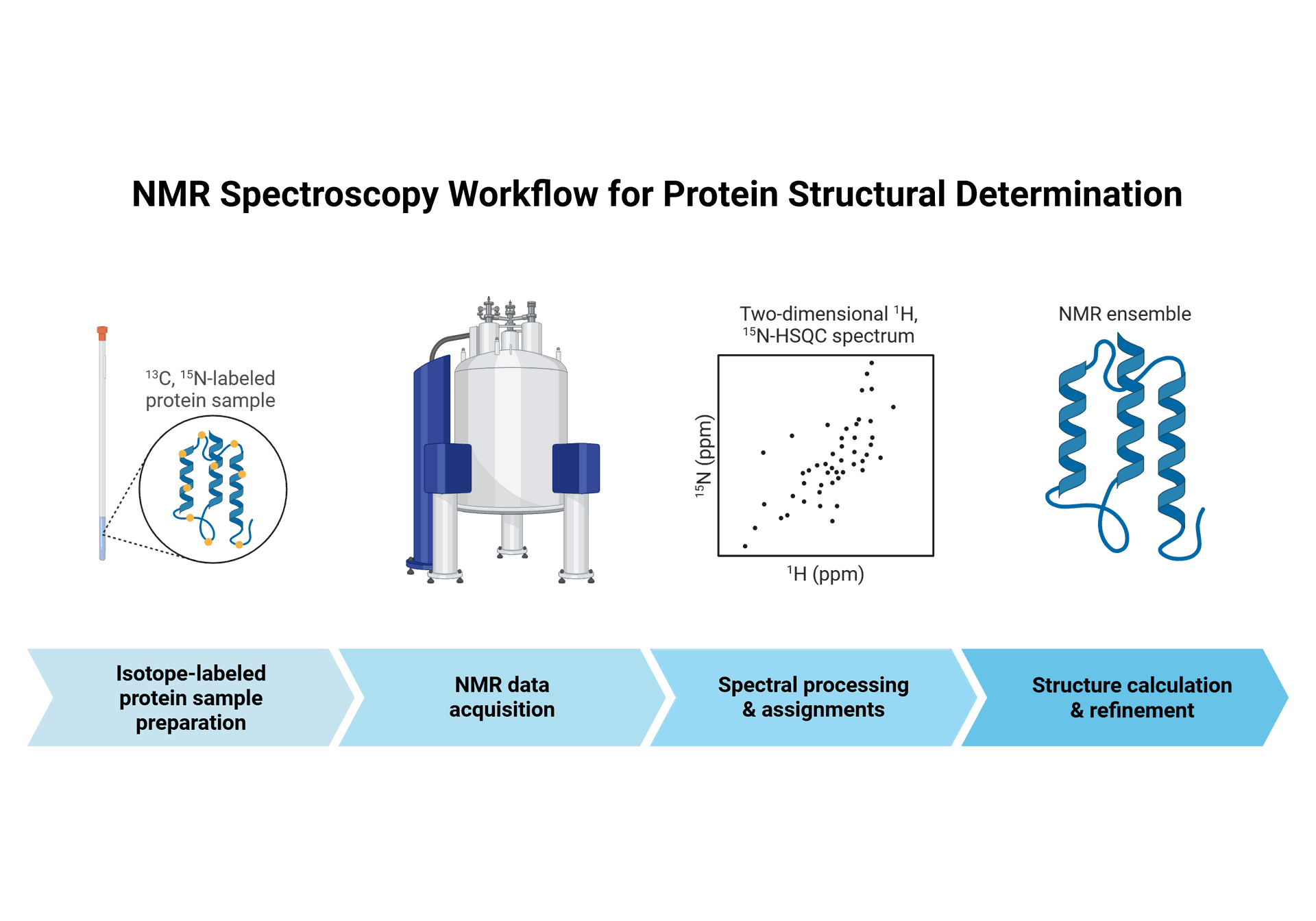 NMR Spectroscopy workflow