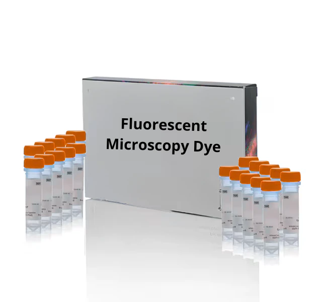 [Fluo-0333] Streptavidin, APC conjugate - 1 mL