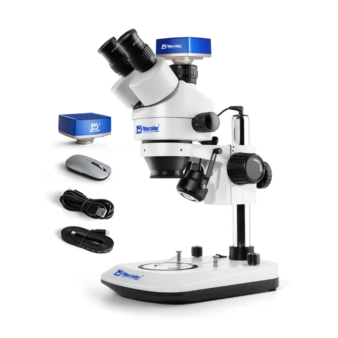 [MSD202-B8-T+4K] Microscope with upper and lower light source+4K csmera