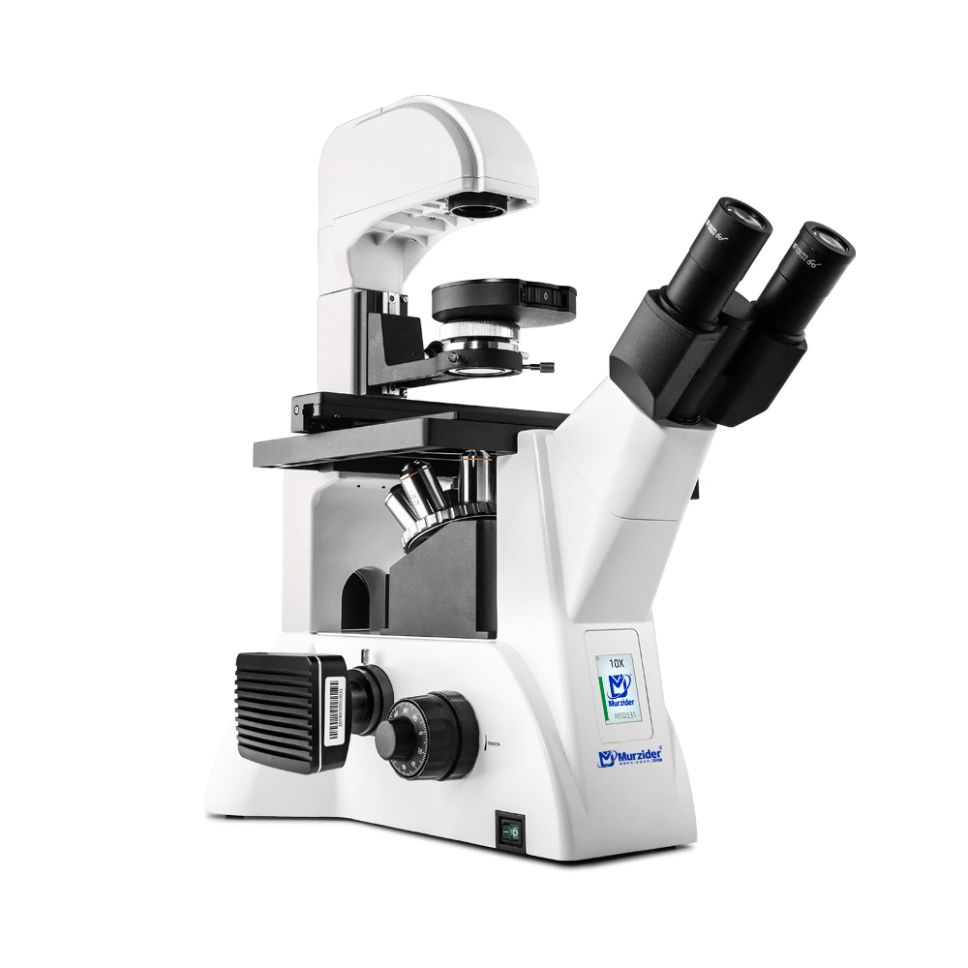 Inverted Phase Contrast Biological Microscope
