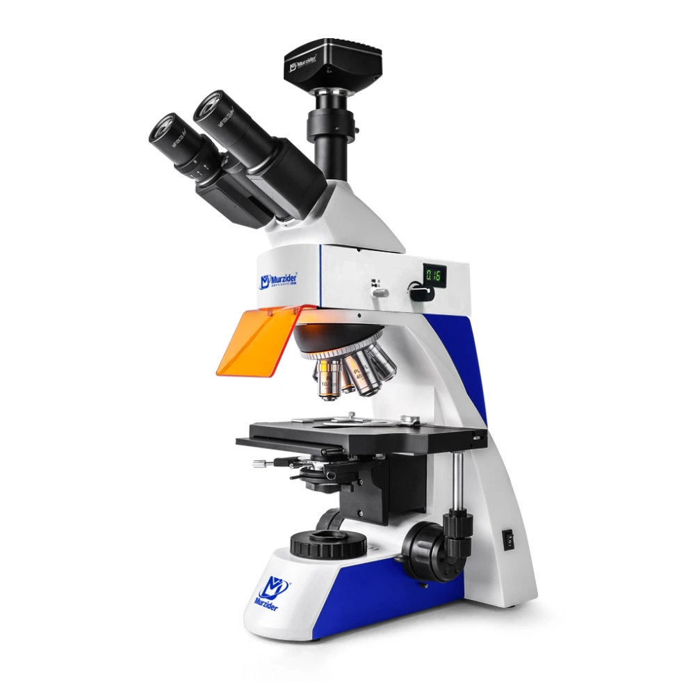 [MSD-S810] Fluorescence Microscope