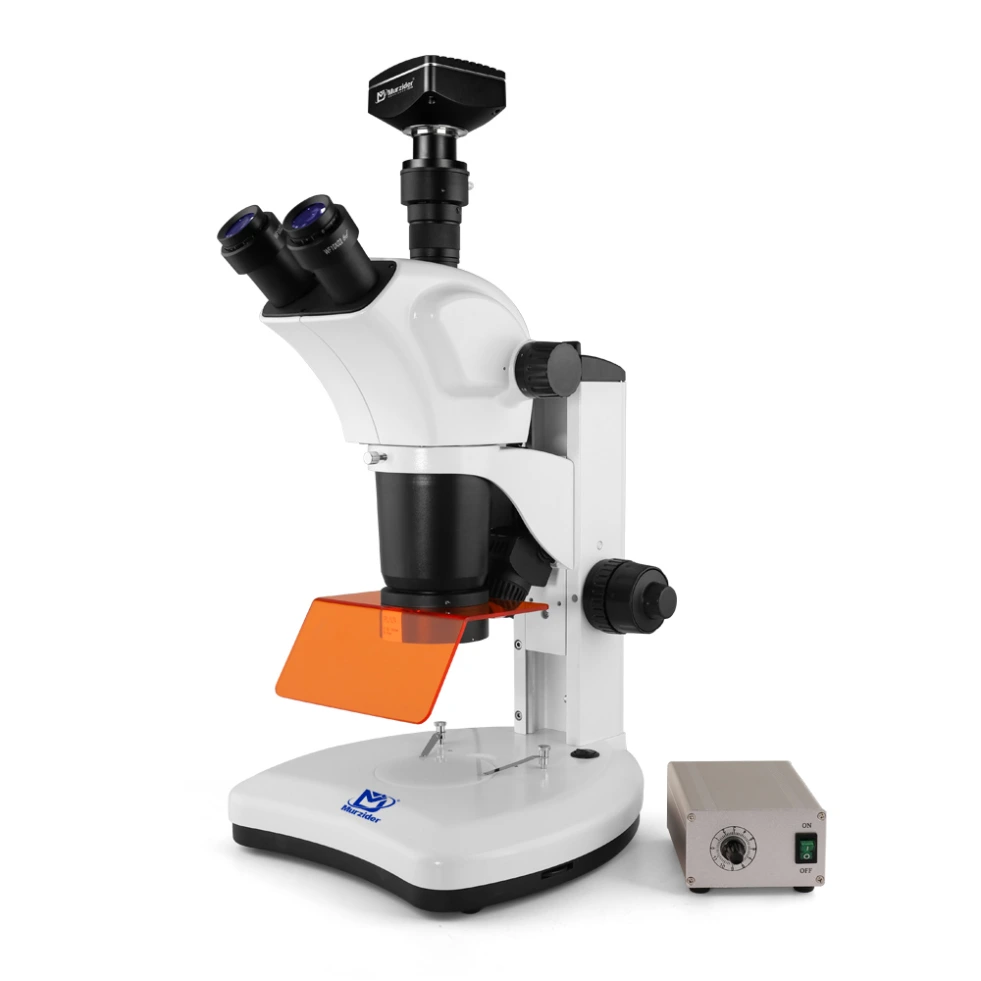 [MSD540] Type Fluorescence Microscope