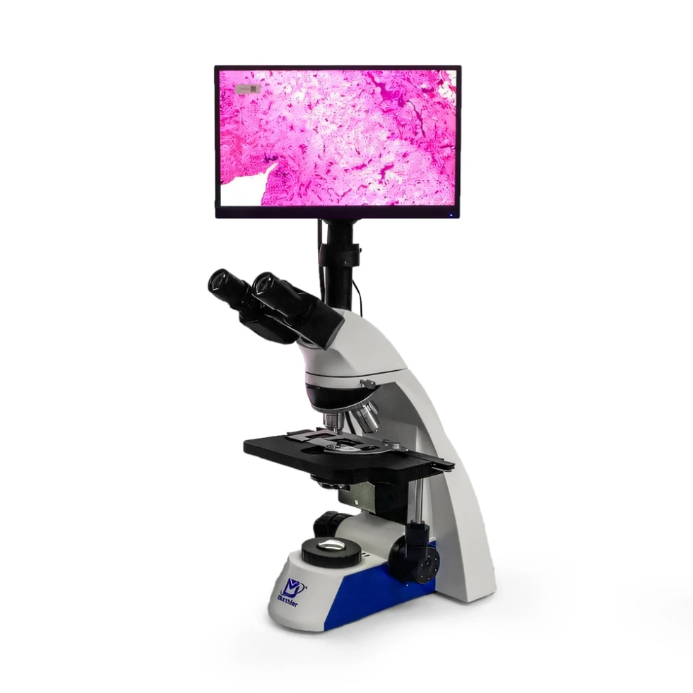 [MSD-S750+11.6Y] Research Grade Biological microscope + 11.6 inch display screen