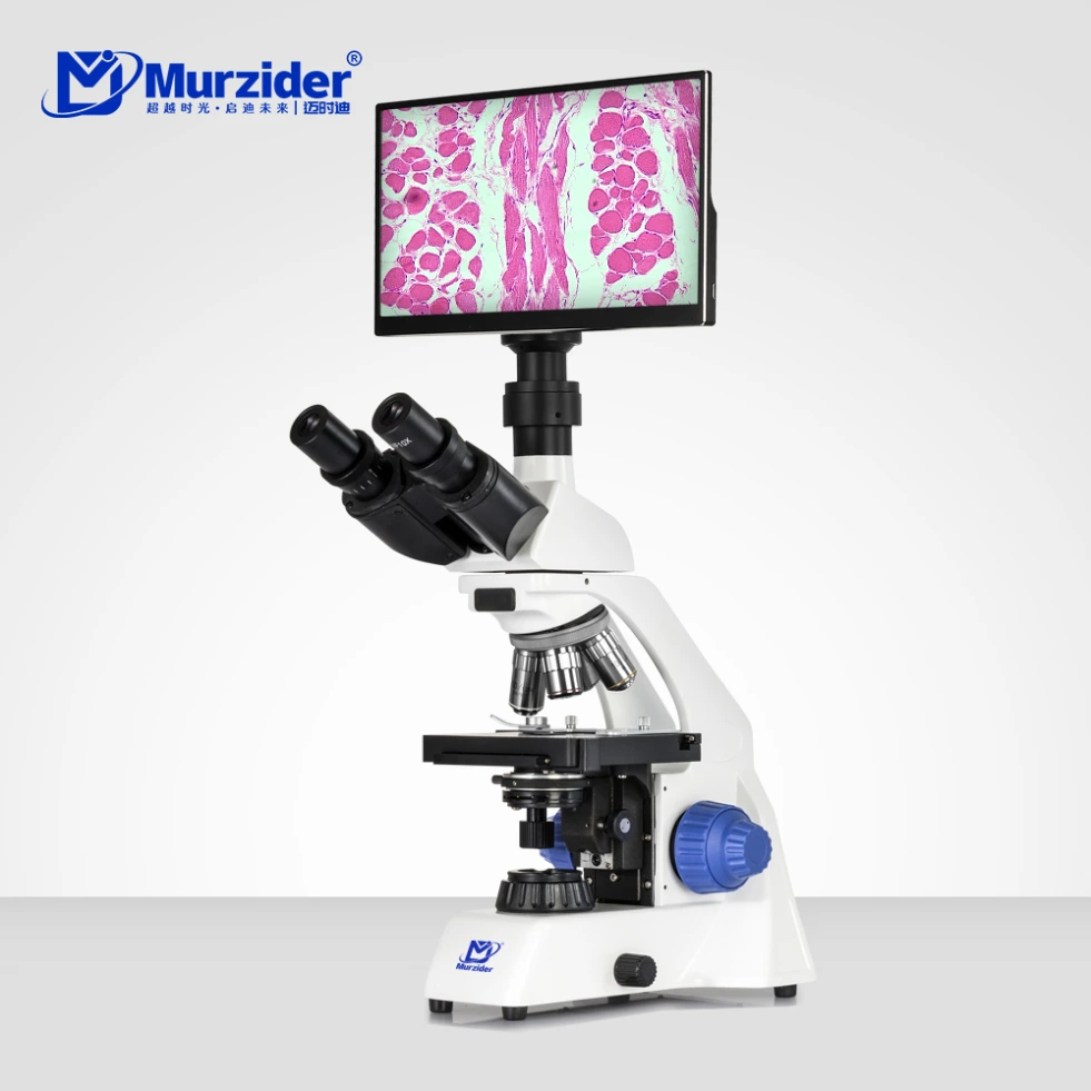 [MSD1125+11.6YT] Research Grade Biological microscope +11 6-inch display screen