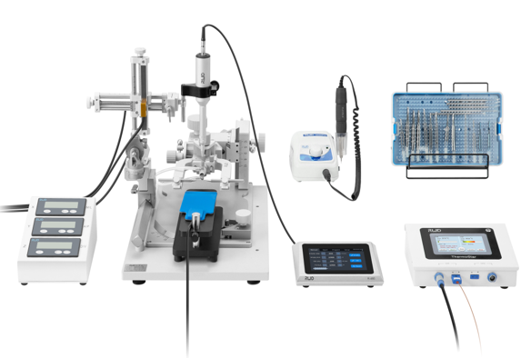 Mouse Anesthesia Adapter with Tubing（30～70g）